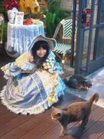 是否能像树一样坚毅、生生不息