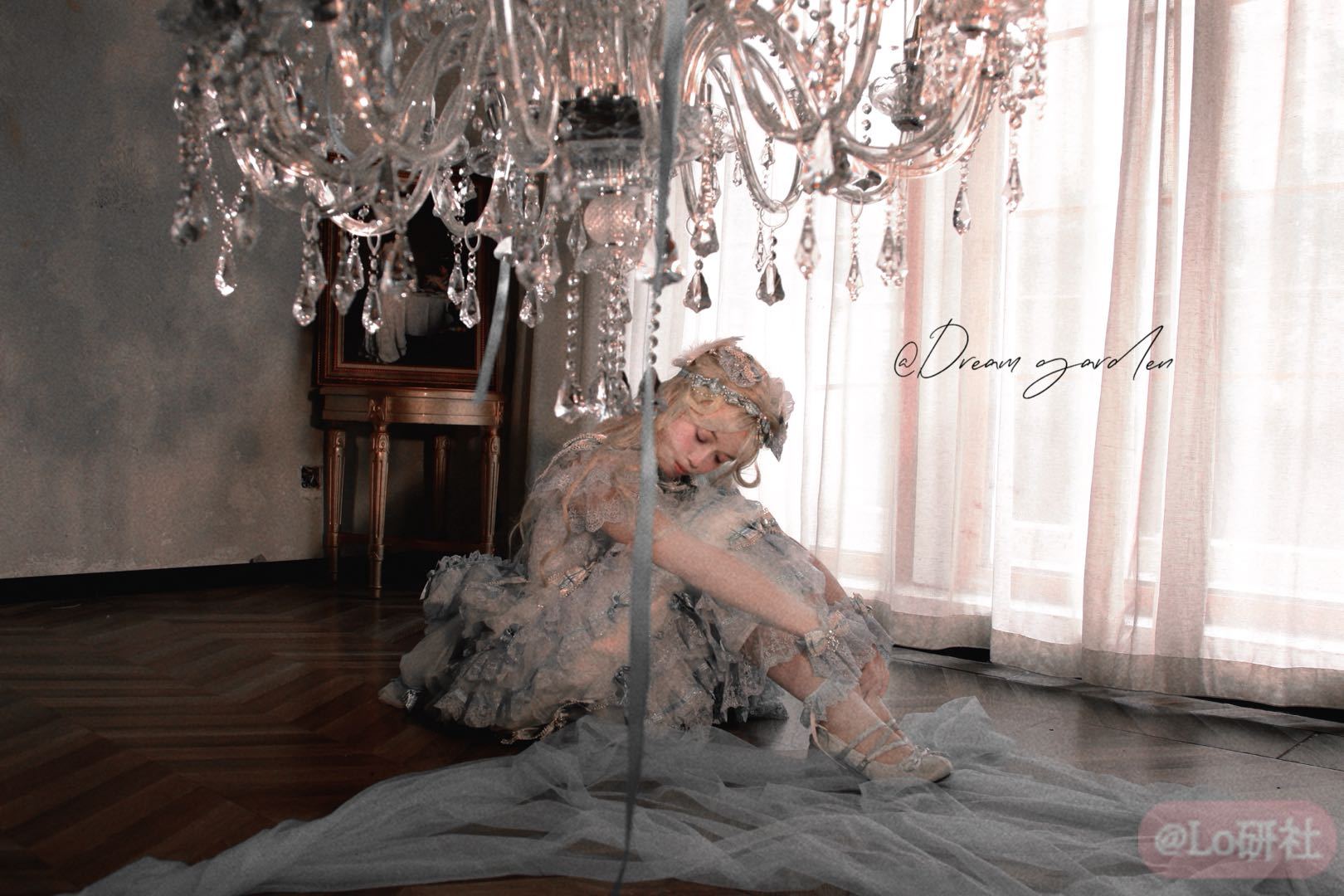 baby皇家千层公主-拍摄日记