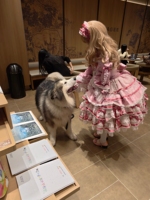 时隔n久终于又fs出去玩了