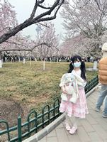 穿着bbd去赏樱了