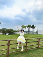 柠檬鸡配色真的太清新了