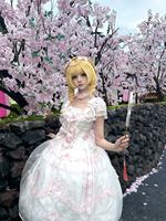 樱花树的两种穿法 你更喜欢哪一种