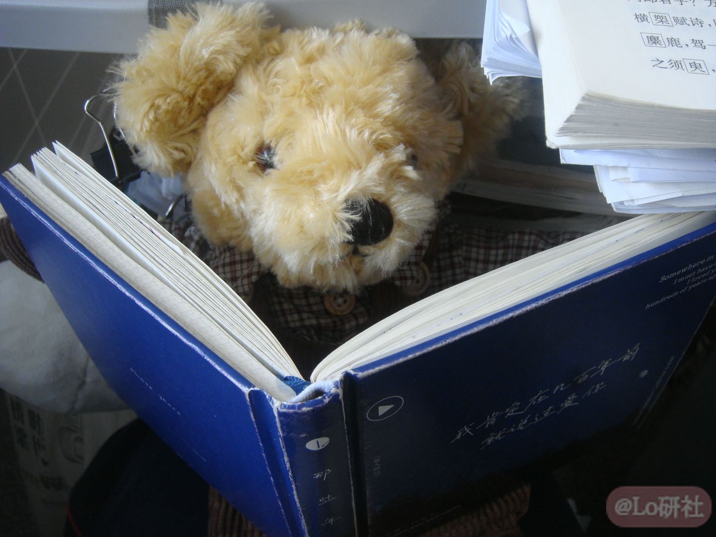 小熊祝你好心情🧸💙🩵