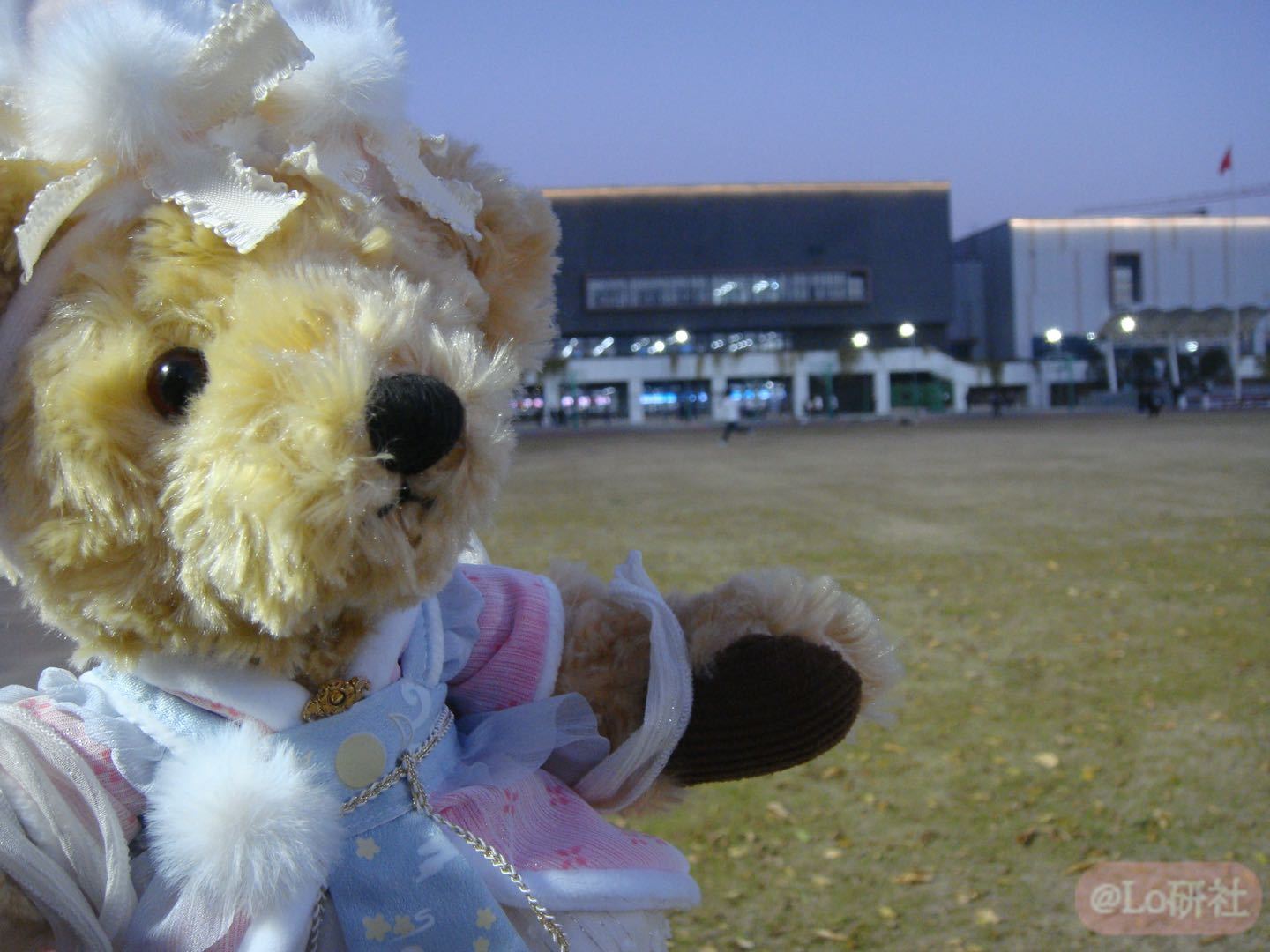 小熊祝你好心情🧸💙🩵