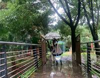 东京下雨,淋湿lo裙