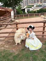 柠檬鸡配色真的太清新了