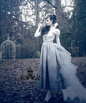 Ice Forest 冰雪森林