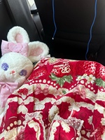 和莉莉卡鲁宝宝的一次野餐🧺