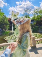 柳下青衫