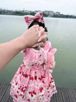 条纹草莓假两件op