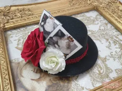 Cat in Wonderland 小礼帽