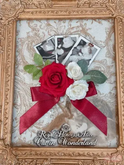 Cat in Wonderland 边夹