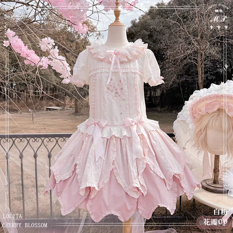 樱花树下的告白 花瓣OP