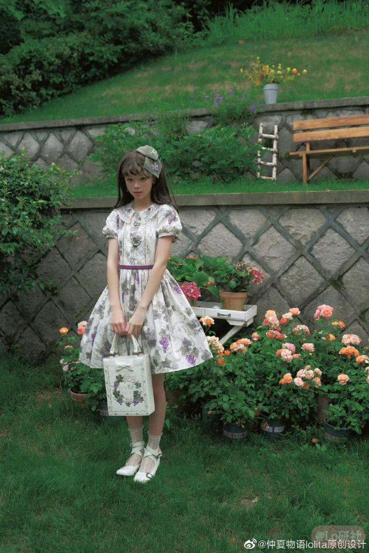 卢瓦尔葡萄园3.0翻领op