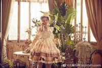 安东尼蛋糕彩虹（冷色彩虹&暖色彩虹）