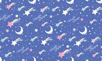 流星Dream Sky