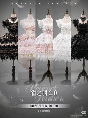 雀之羽2.0（2026）