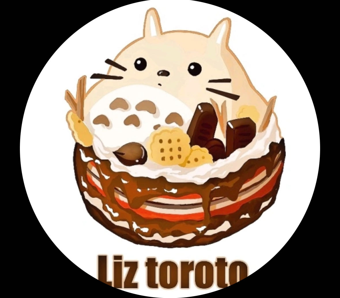 Liz toroto栗子龙猫