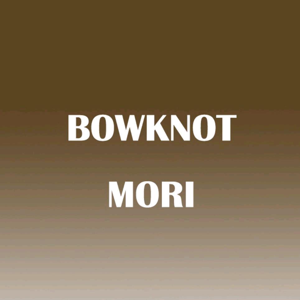 BowknotMori_蝴蝶结之森